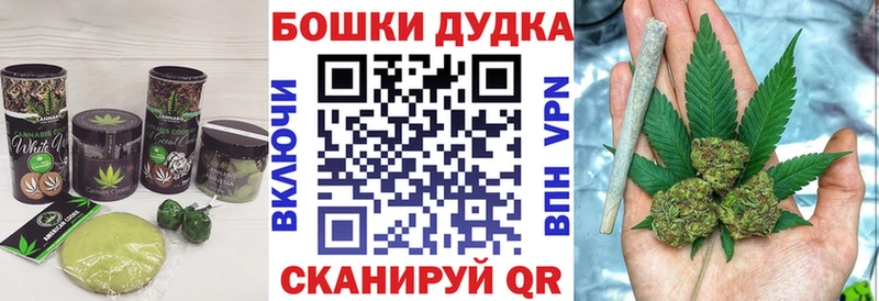Canna-Cookies марихуана  shop Telegram  Камешково  где найти  
