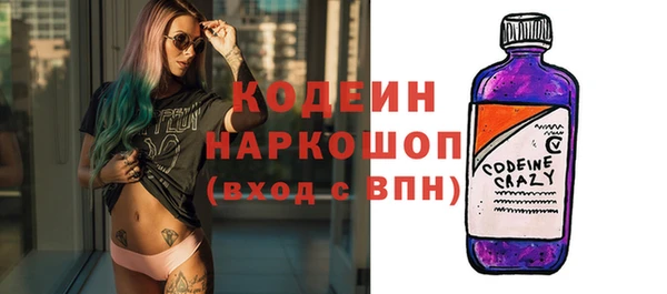 индика Волосово