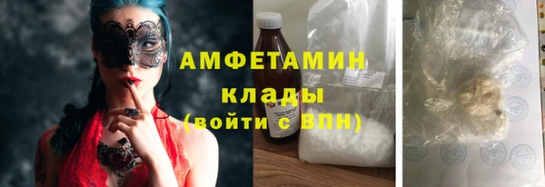 индика Волосово