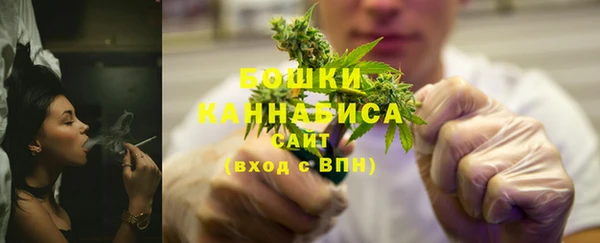 индика Волосово