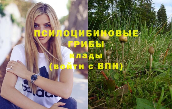 ALPHA-PVP Володарск