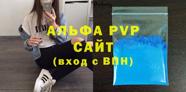 индика Волосово