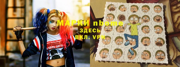 индика Волосово