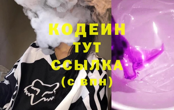 индика Волосово