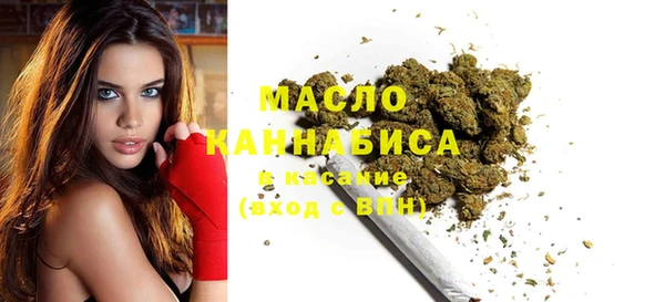индика Волосово