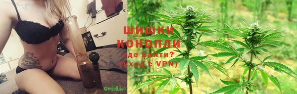индика Волосово