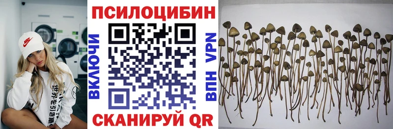 Галлюциногенные грибы прущие грибы  Камешково 